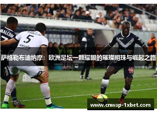 萨格勒布迪纳摩:欧洲足坛一颗耀眼的璀璨明珠与崛起之路 萨格勒布迪纳摩:欧洲足坛一颗耀眼的璀璨明珠与崛起之路