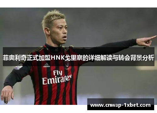 菲奥利奇正式加盟HNK戈里察的详细解读与转会背景分析