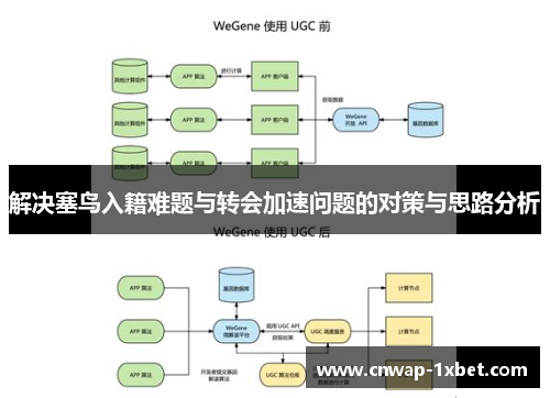 解决塞鸟入籍难题与转会加速问题的对策与思路分析