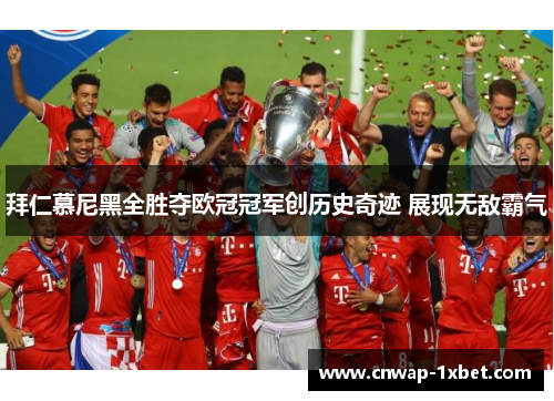 拜仁慕尼黑全胜夺欧冠冠军创历史奇迹 展现无敌霸气