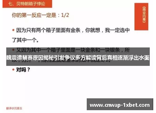魏震遭禁赛原因揭秘引发争议多方解读背后真相逐渐浮出水面